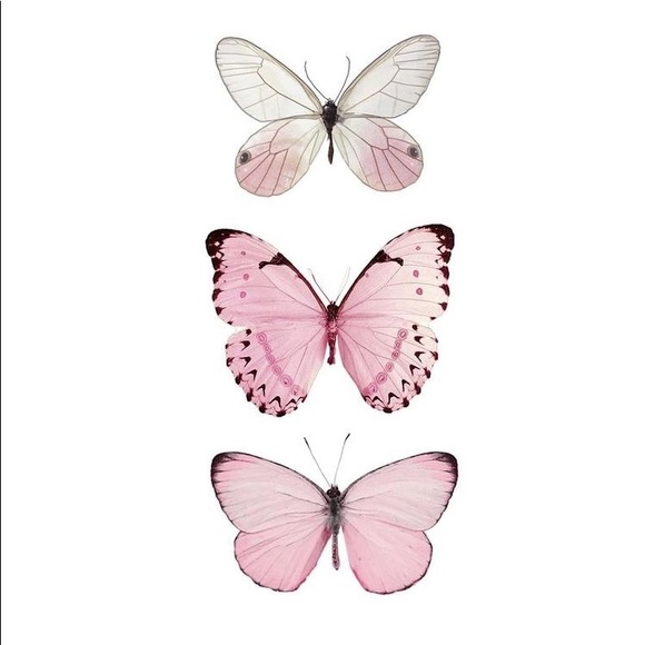 Meet your Posher, Shelby - Picture 8 of 8